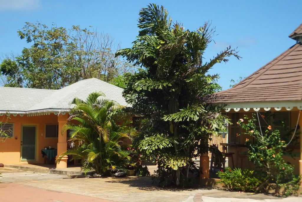 皮蒙托度假山林小屋 安东尼奥港 外观 照片